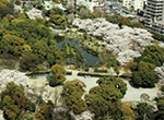 隅田公園